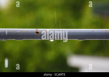 Raindrops resting on a blue-gray handrail with light rust, softened by blurred forest tones in the distance. Stock Photo