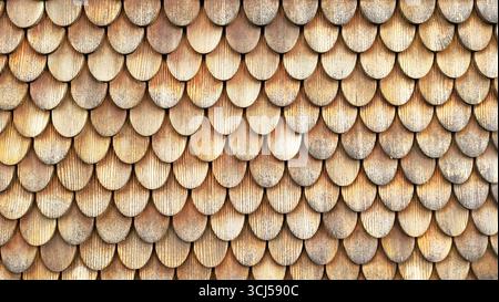 Detailed close-up of a wooden house wall showing a shed-style pattern in various shades of light brown Stock Photo