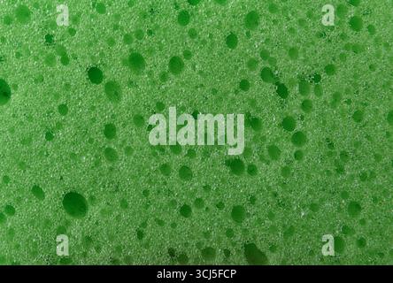 Background detail of the texture of a synthetic green sponge with many holes, for cleaning or hygiene.Top view. Stock Photo