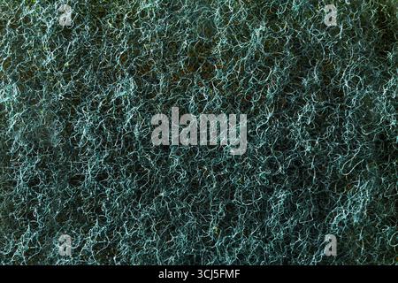 Background detail of the texture of the fibers of a synthetic green scouring pad for cleaning. Top view. Stock Photo