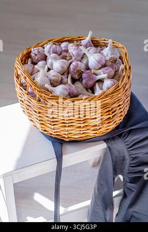 Wicker basket with organic garlic bulbs, harvested crop for healthy cooking, fresh food, kitchen ingredient on rustic background in natural light Stock Photo