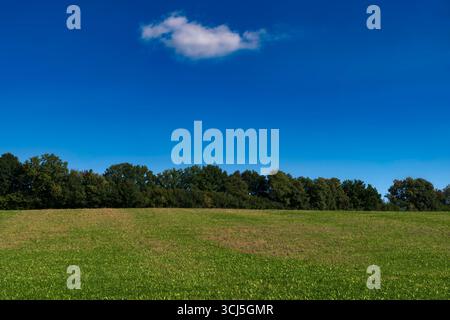 Green field blue sky with solitary cloud Stock Photo