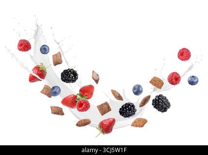 Splashing milk with sweet corn pads and fresh berries in air against white background. Healthy breakfast Stock Photo