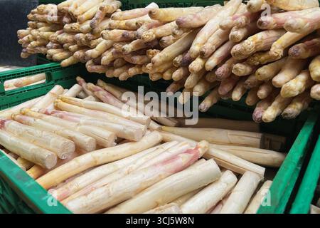 Boxes of fresh green asparagus for sale. Agricultural business. Stock Photo