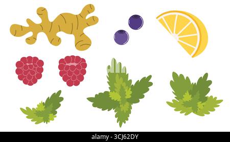 Set of colorful fruits and herbs icons - ginger, raspberry, lemon, blueberry and mint in flat cartoon style. Perfect for drink flavor collection, menu Stock Vector