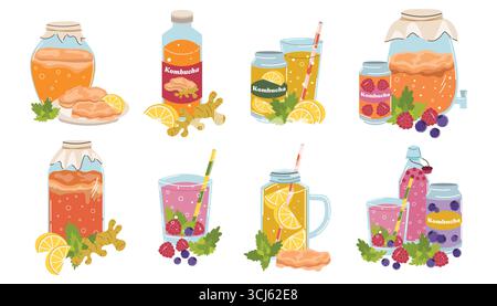 Kombucha still life set in flat cartoon style with bottles, jar, glasses and cans. Flavored probiotic drink with ginger, mint, lemon, raspberry, blueb Stock Vector