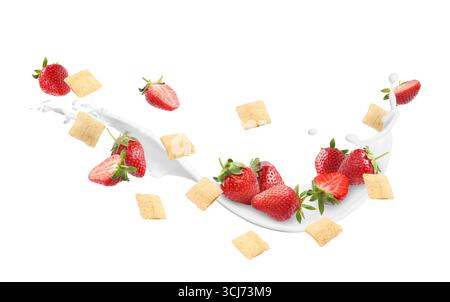 Splashing milk with sweet corn pads and fresh strawberries in air against white background. Healthy breakfast Stock Photo