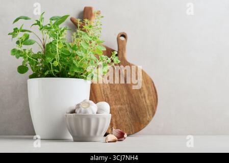 Fresh seasoning herbs in flower pot, two wooden cutting board and garlic cloves and bulb on light background Stock Photo
