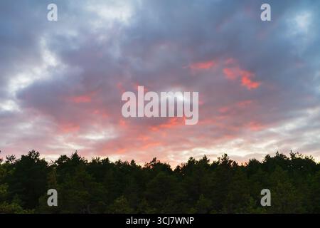 A fiery red sunset sky with dramatic storm clouds over a silhouetted northern forest skyline at dusk in twilight. Stock Photo