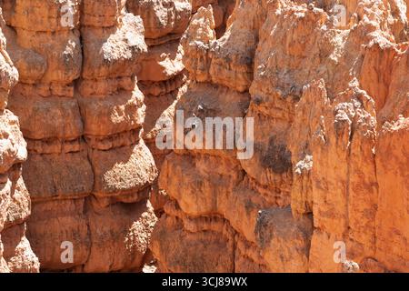 A detailed close-up shot of stunning, intricately eroded sandstone formations, characteristic of a desert canyon landscape. The vibrant orange, rust, Stock Photo