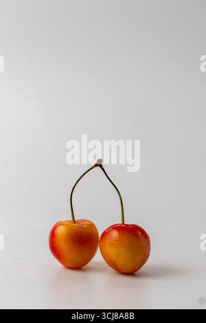 two Rainier Cherries on a white background, vertical image with copyspace Stock Photo