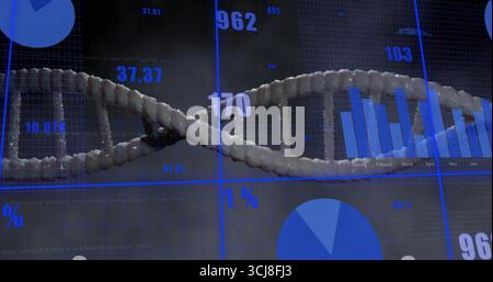 Displaying off-white 3D DNA helix twisting within lab grid interface with blue bar and pie charts Stock Photo
