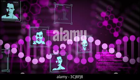Displaying stylized DNA helix composed of magenta dots on virtual interface, with headshot frames Stock Photo