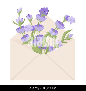 Bouquet of lovanda in an envelope. Vector illustration isolated on white background. Stock Vector