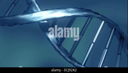 Displaying DNA double helix twisting in blue gradient backdrop, with cylindrical nucleotide pairs Stock Photo