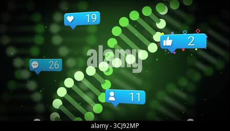 Displaying DNA helix glowing in digital gradient, with blue notification bubbles showing 19 or 26 or Stock Photo
