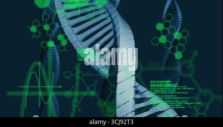 Displaying 3D DNA helix floating in data interface, with molecular graphs and code overlays Stock Photo