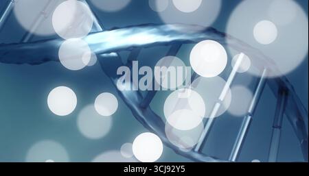 Spiraling DNA double helix twisting in digital illustration, with metallic rungs and bokeh spots Stock Photo