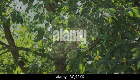 Displaying digital brain network glowing over tree trunk, green foliage in forest with grid overlay Stock Photo