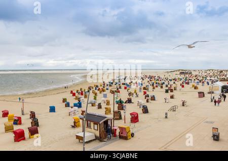 Seagull flying over the beach in Borkum, Germany Stock Photo