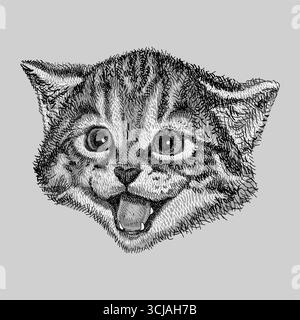 Cat pet animal head cute face line hand drawn monochrome Stock Vector