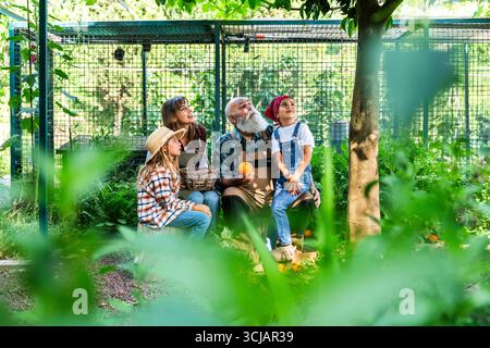 Farmers family picking oranges in their orchard, enjoying a sunny summer day while working together on their organic bio farm, nurturing healthy produ Stock Photo
