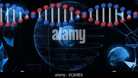 Showing DNA double helix rotating in virtual space with dotted globe, mesh shapes, network lines Stock Photo