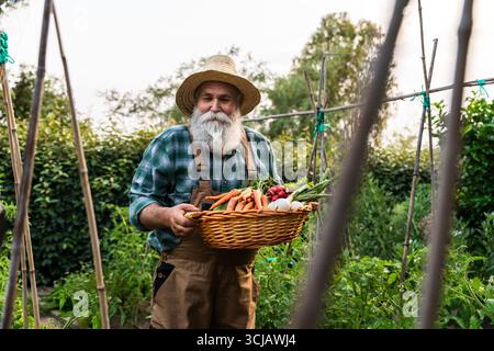 Smiling bearded senior farmer wearing straw hat and overalls holding wicker basket full of freshly harvested carrots, onions, and radishes in lush gar Stock Photo