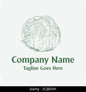 Vintage Retro Hand Drawn Cabbage Vegetable Illustration for Farm Garden Product Logo Design Inspiration Stock Vector