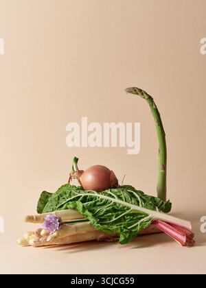 A variety of fresh organic vegetables including asparagus, onion, Swiss chard, and white asparagus, creatively arranged on a neutral backdrop, emphasi Stock Photo