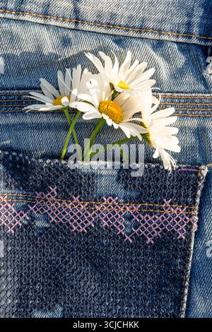 A charming scene with fresh white daisies tucked into a stylishly embroidered denim pocket, embodying a relaxed and trendy lifestyle vibe perfect for Stock Photo