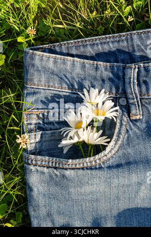 Close-up of white daisies tucked into the front pocket of blue jeans, lying on a lush green grass field, evoking a carefree summer lifestyle and natur Stock Photo