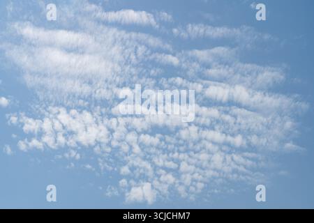 A serene view of a clear blue sky filled with scattered wispy white clouds. Captured from below, this image exudes tranquility and vastness, perfect f Stock Photo
