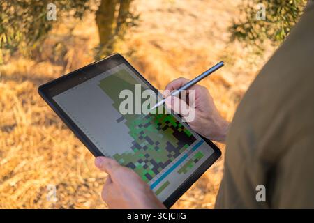 A farmer utilizes a tablet device in an olive grove, integrating technology with traditional agriculture practices. This enhances productivity and mod Stock Photo