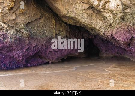 Natural coastal cave featuring striking rock formations with purple and beige textures, partially submerged by the tide on a sandy beach. Ideal for na Stock Photo