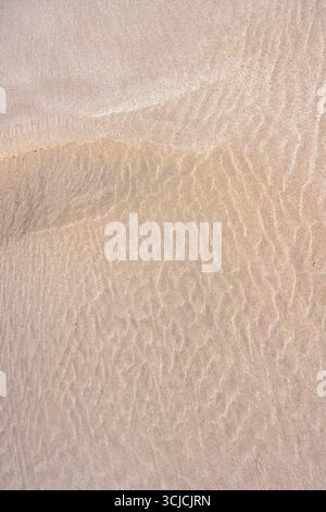 Close-up of sea sand textures showcasing intricate wave patterns formed by the gentle movement of water. The smooth surface reveals a blend of natural Stock Photo