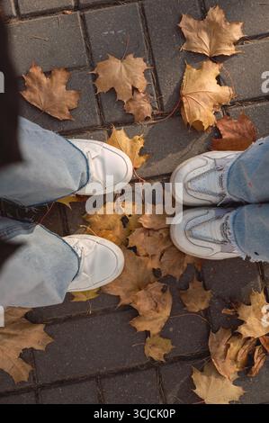 White sneakers standing on a brick pavement covered with brown autumn leaves. The scene captures an overhead view, highlighting the cozy vibe of a fal Stock Photo