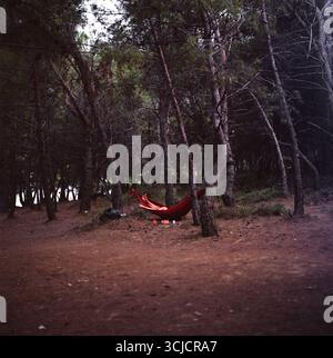 Young couple relaxing in a red hammock among conifers beside the sea, captured in a warm, intimate analog film aesthetic. Stock Photo