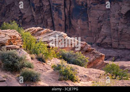 A detailed close-up of a rugged desert landscape showcasing magnificent layered sandstone formations and resilient scrub brush. The foreground feature Stock Photo