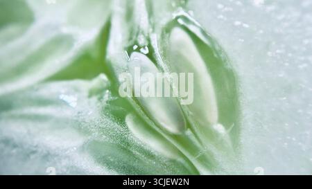 A close-up view of fresh cucumber slices, showing their light green flesh, watery texture, and crisp surface, often used in salads, garnishes, and ref Stock Photo