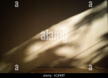 Minimalist interior with natural warm light casting soft plant shadows on a light wooden wall Stock Photo
