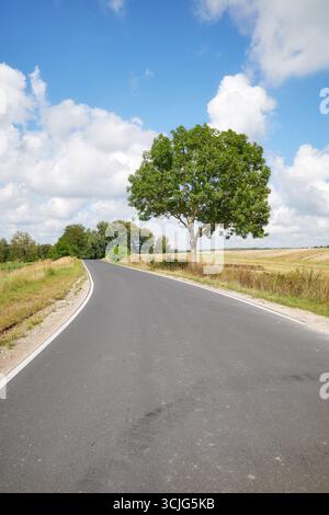 Rural asphalt road among the fields in summer season Stock Photo - Alamy