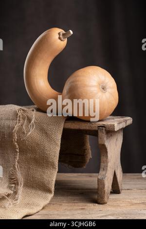 Canada Crookneck Squash Pumpkin With Curved Neck Resting On Wooden Stool Beside Burlap In Rustic Stock Photo