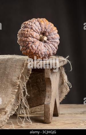 Heirloom Black Futsu Mini Pumpkin With Wrinkled Skin Resting On Wooden Stool Beside Burlap In Rustic Barn Stock Photo