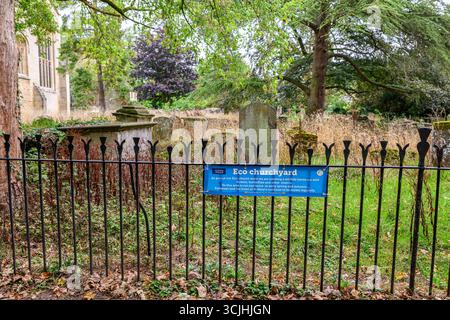 Eco Churchyard, Witney, Oxfordshire Stock Photo