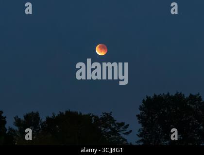 Glowing red during a partial lunar eclipse, the moon illuminates a dark blue sky, casting a serene atmosphere over silhouetted trees at twilight Stock Photo