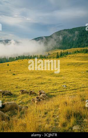 A cloudy sunset sky over forested mountains Stock Photo - Alamy