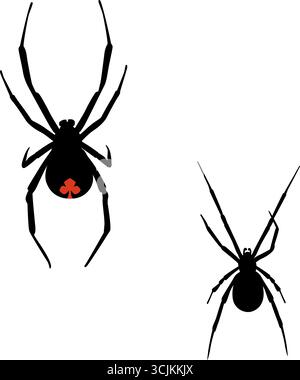 Black widow spider and its male counterpart presented in a detailed illustration Stock Vector