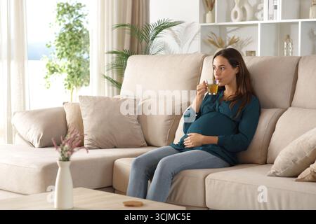 Pregnant woman drinking tea sitting on a couch at home Stock Photo