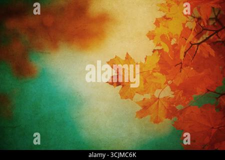 Autumn leaves over vintage background. Perfect grunge fall texture. Stock Photo